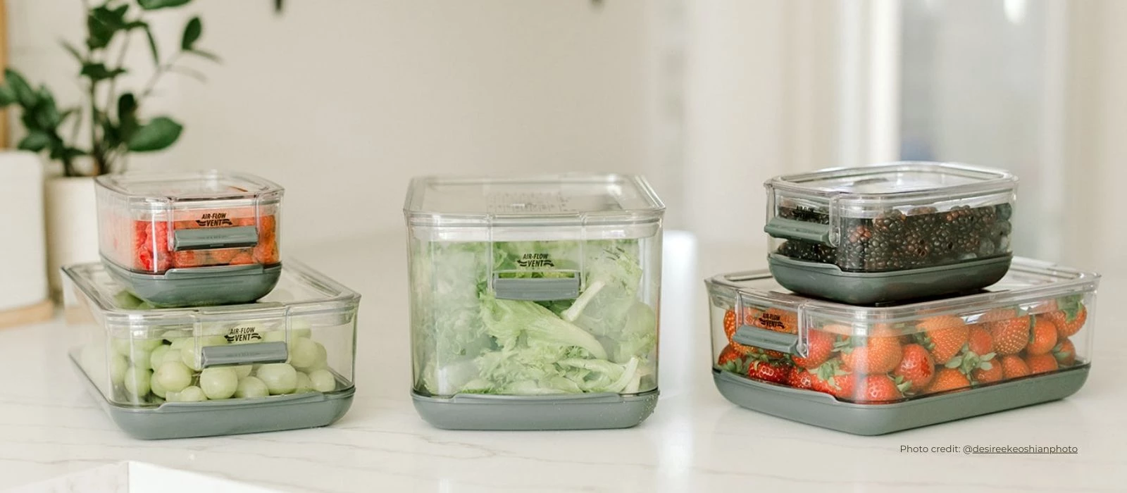 Unique Ingredient-Specific ProKeeper Storage Containers For Your Kitchen